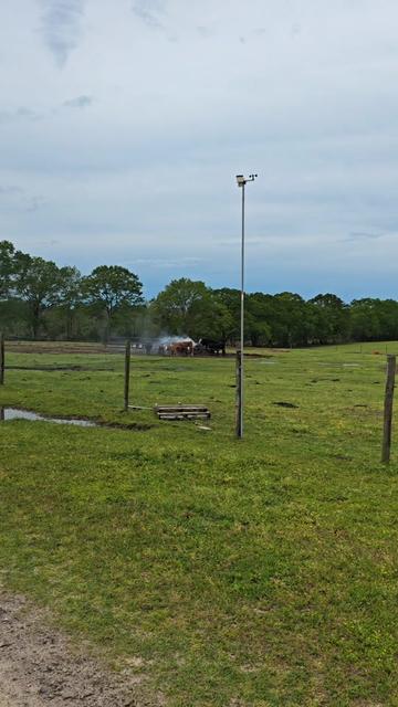 @M.I. CATTLE CO.