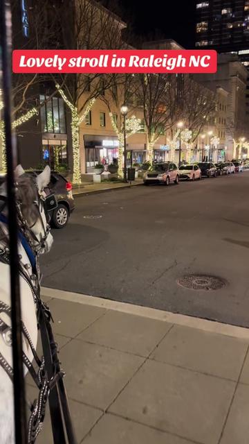 @southerncharmcarriages