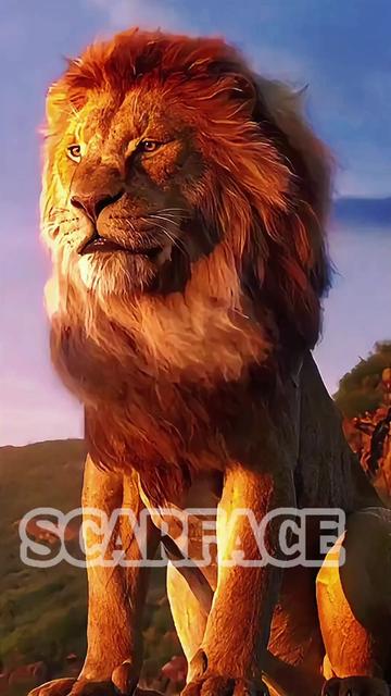 @𝐬𝐜𝐚𝐫𝐟𝐚𝐜𝐞 𝐤𝐢𝐧𝐠
