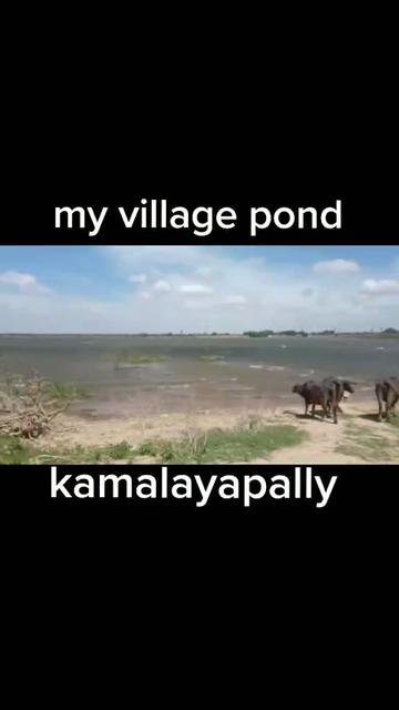 @Ram rasoolpura