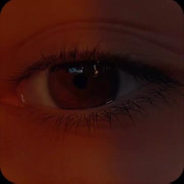 @avivun