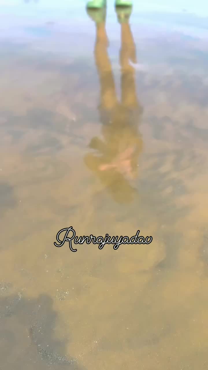 @🔥ఒంగోలు గిత్త 🔥