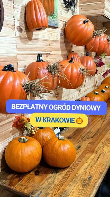 @Krak&oacute;w z dzieckiem