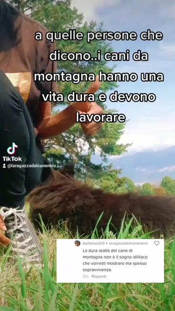 @La ragazza dal cane nero