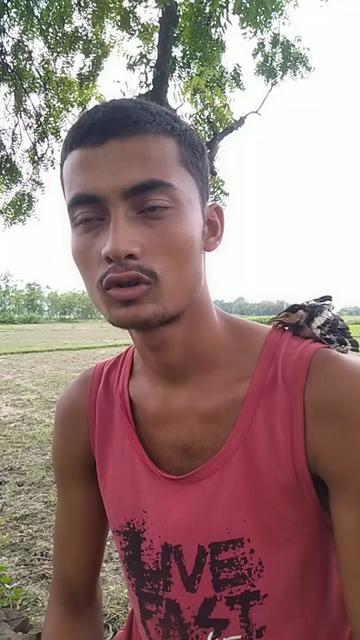 @Tik Toker