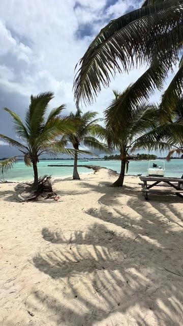 @Sunbliss Tours Utila