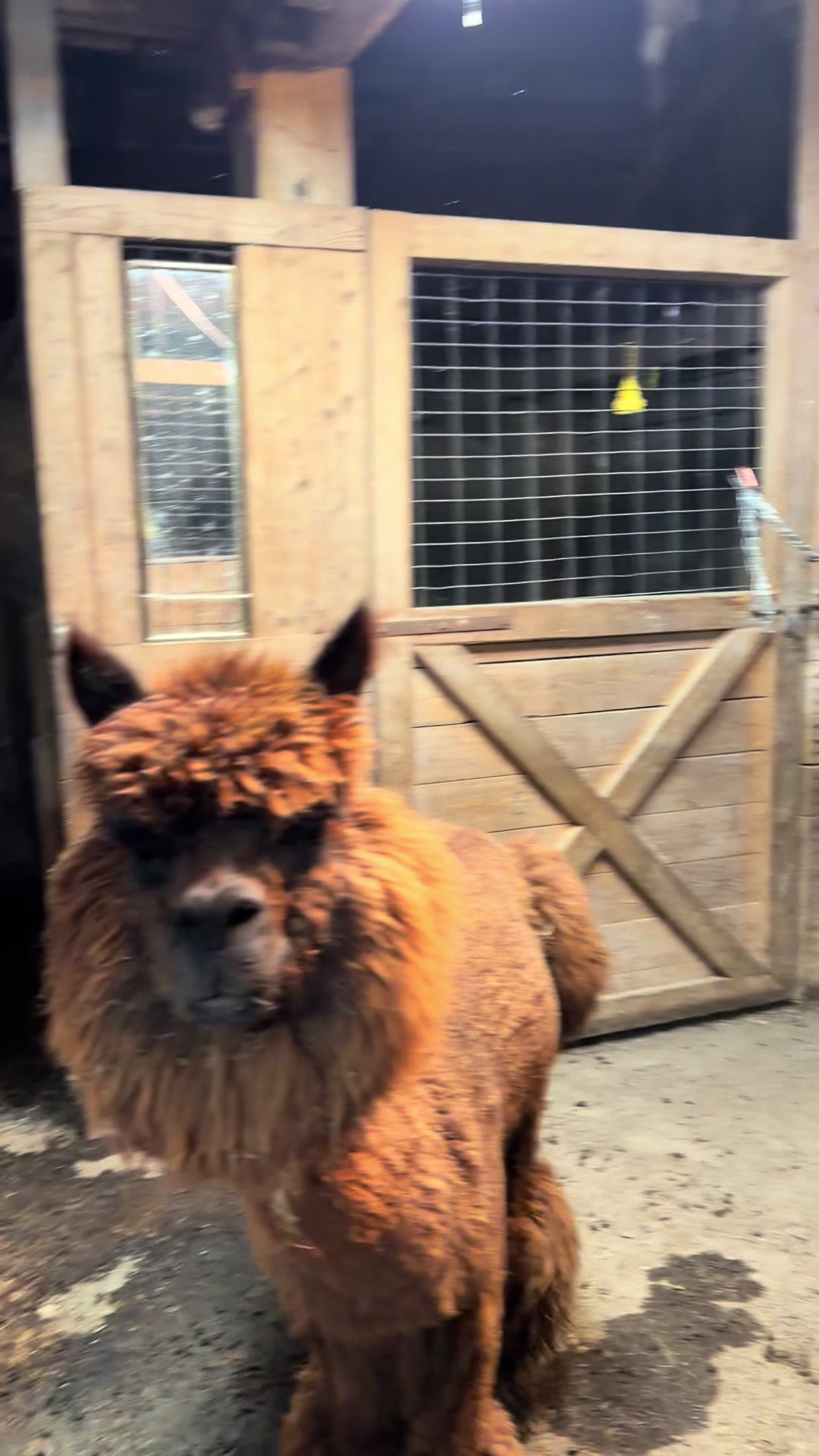 @Useless Farm