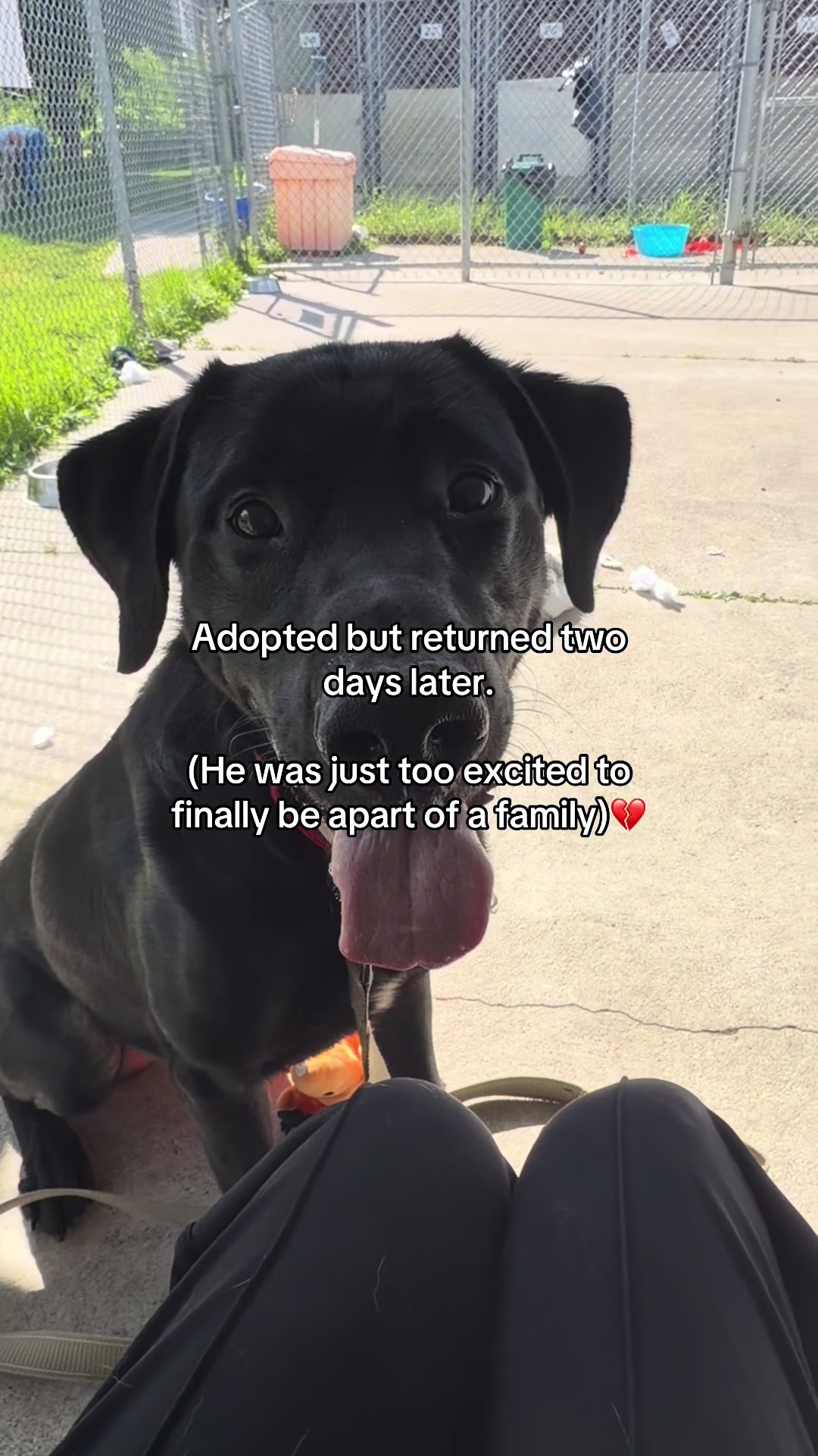 @myTinypurpose