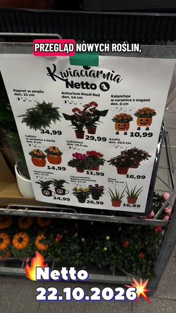 @maciej.plants