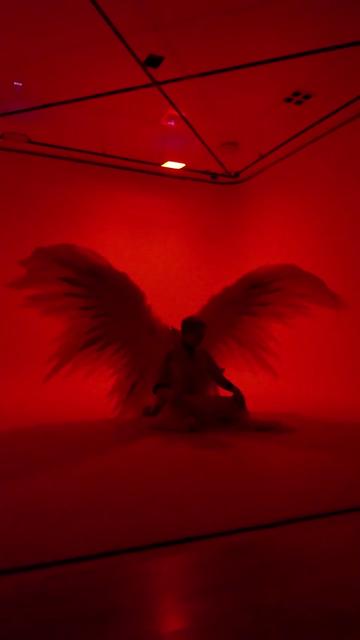@Angels_PawPrint