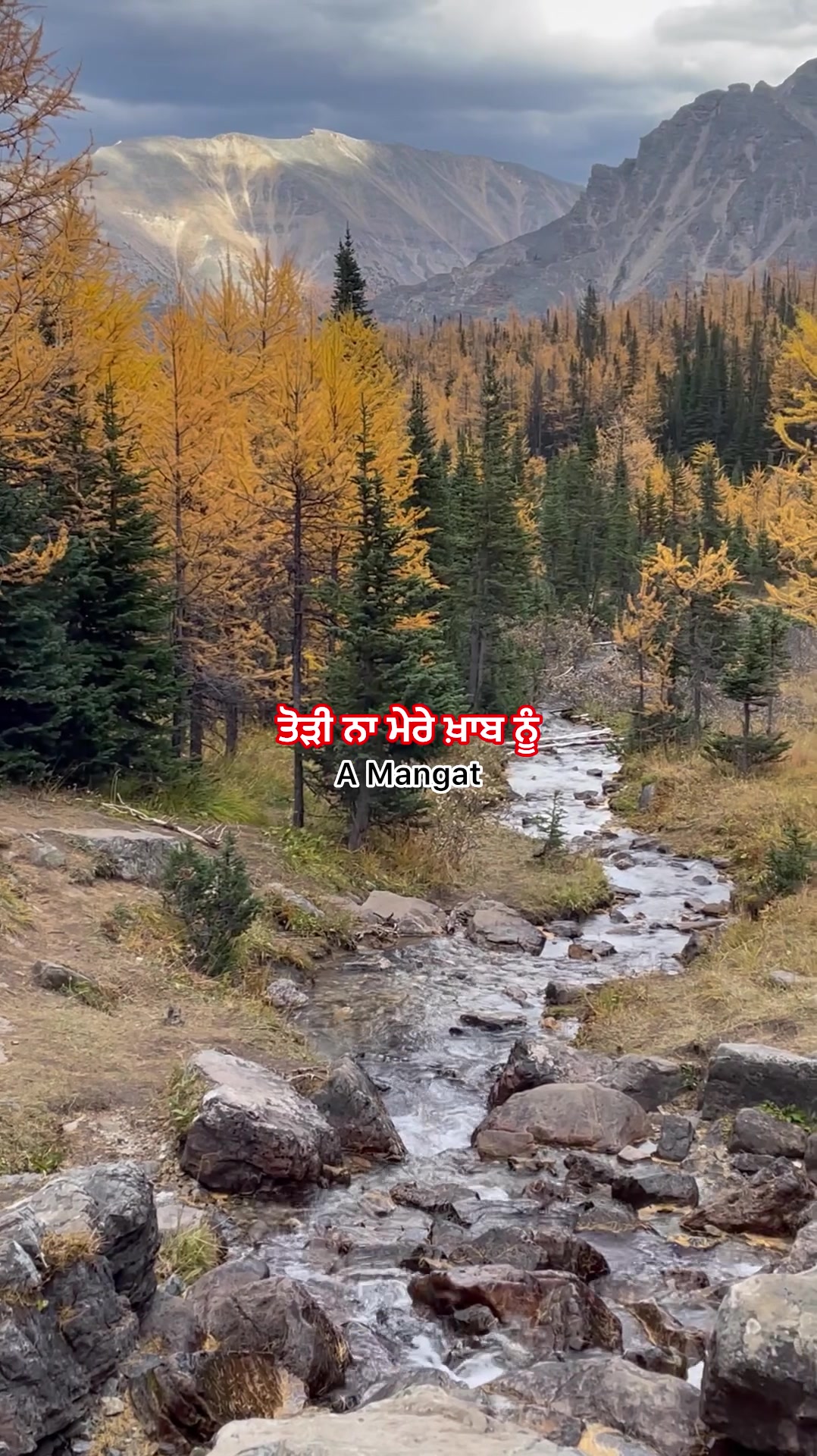 @A Mangat