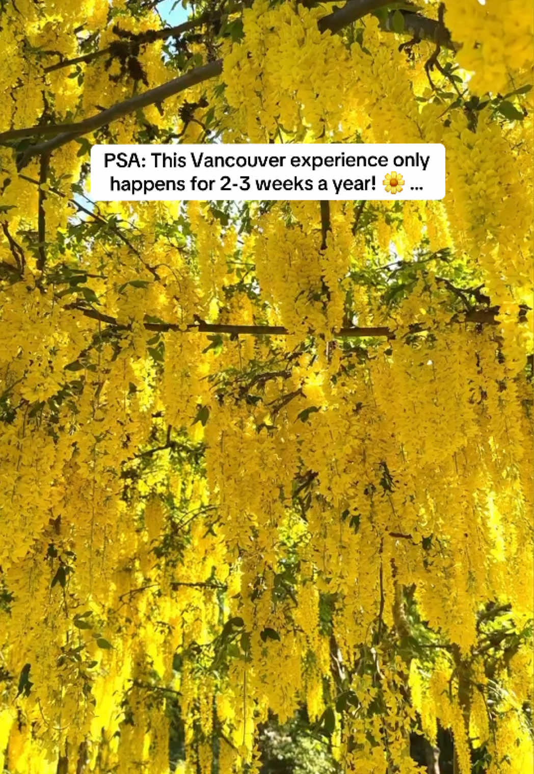 @Super, Natural BC