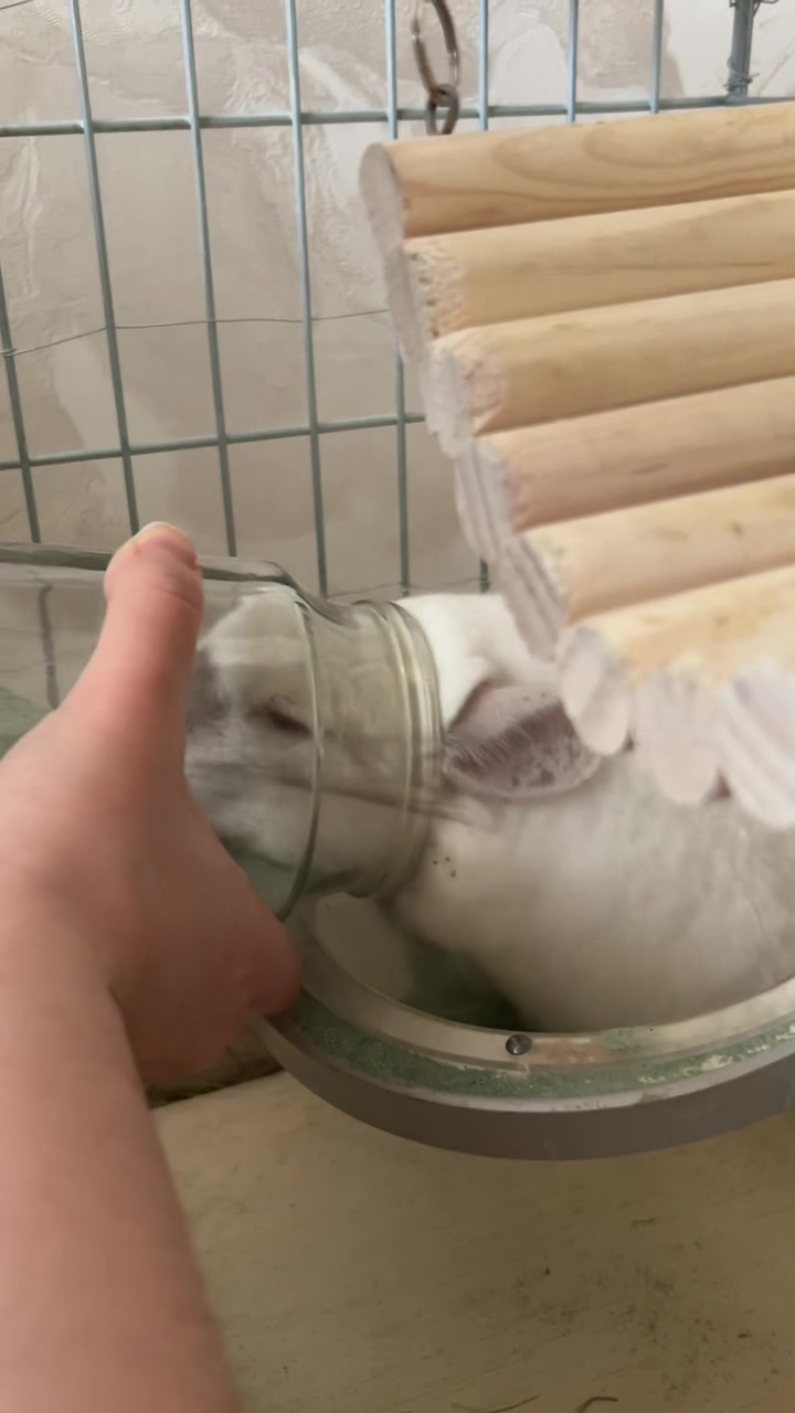 @Лулу