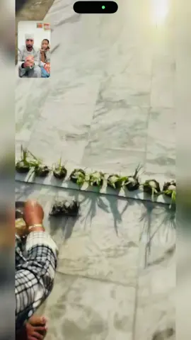 @punjabi.rpn