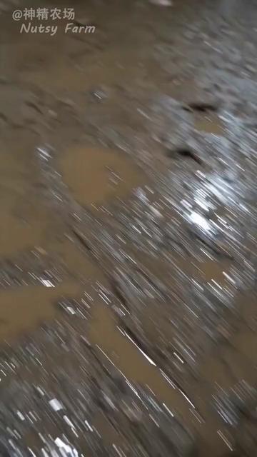 @NutsyFarm