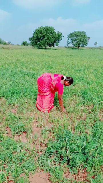 @Sakthi Priya