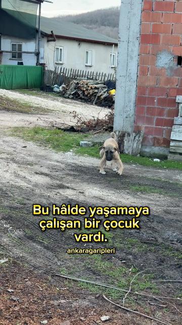 @Asiye