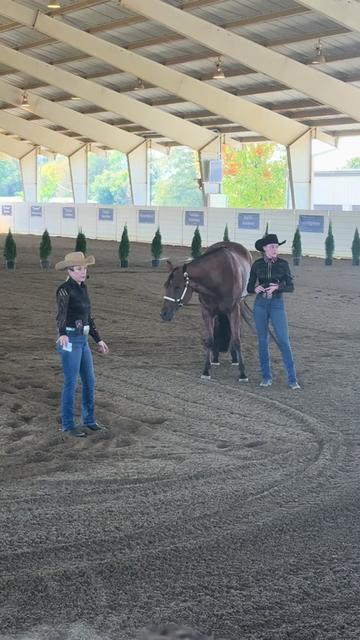 @yourhorseandponyleader