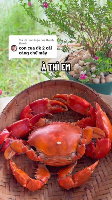 @Tuananh Do