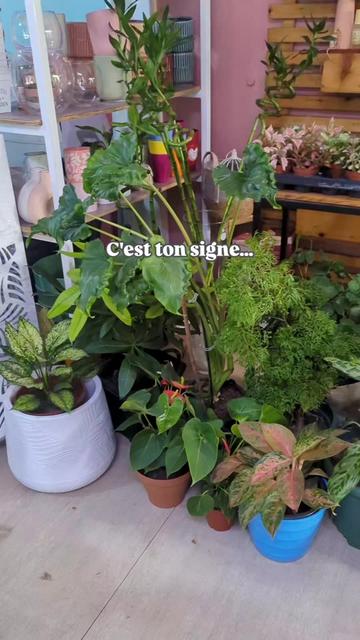 @La Gamme Verte