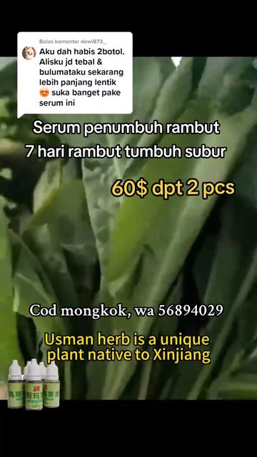 @rida_yusti3