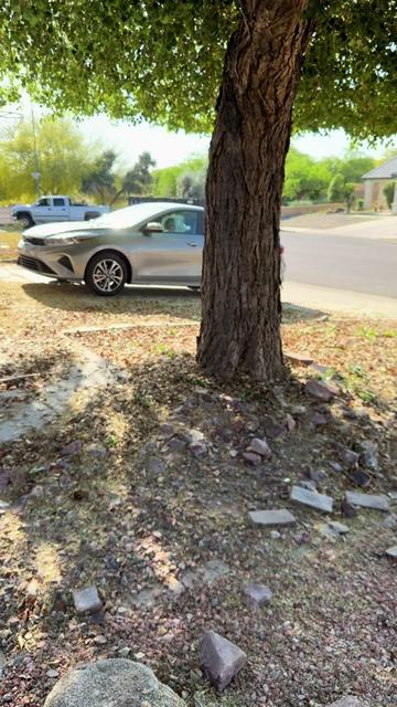 @omarlandscapingllc