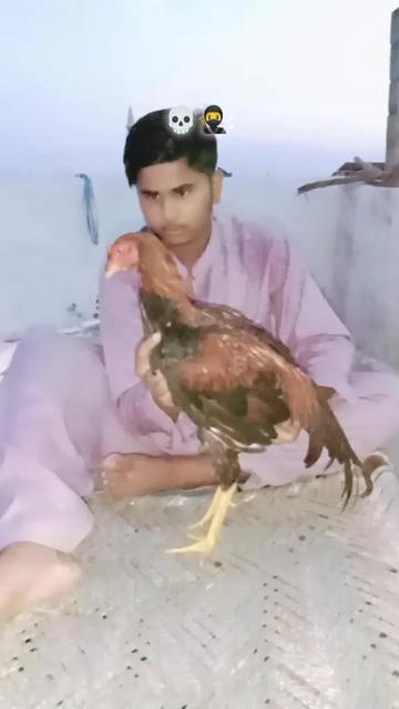 @Haziq Gujjar 🫀🙌