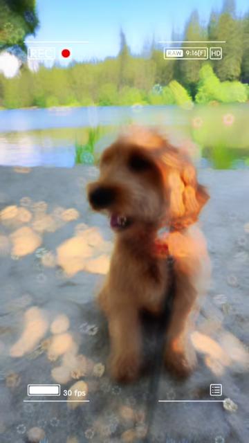 @TuckerTheTurlockDoodle