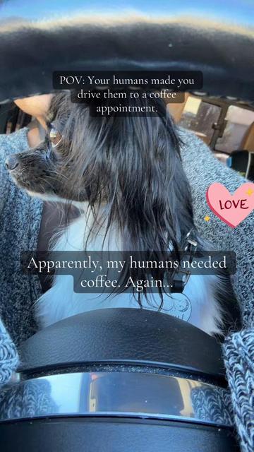 @TheLittleLunaBean