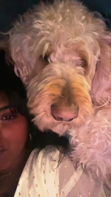@Shree