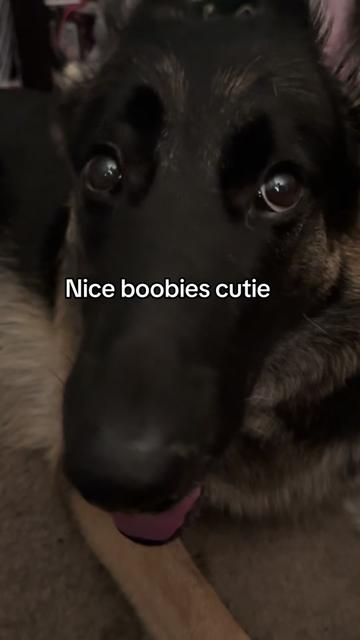 @Bhris