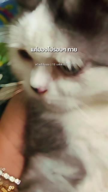 @ทัญญ่า 🌻 เรียกเราชื่อนี้ 🌻