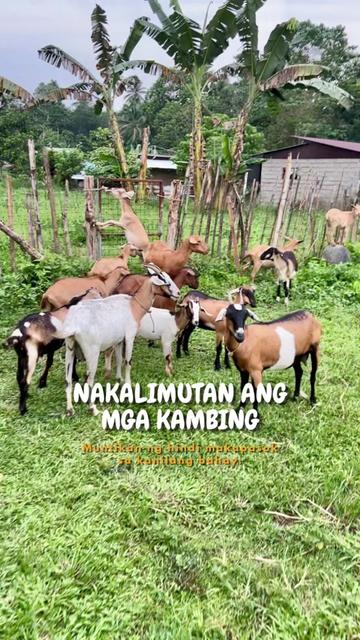 @indaypoypoy