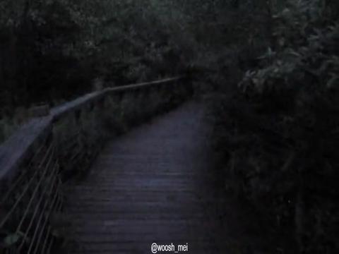 @𝓶𝓪𝓲𝓲✮⋆˙♡