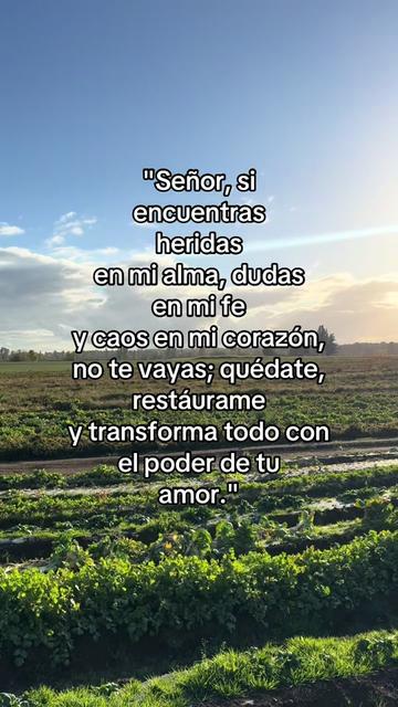 @🍓🪗✨pablocarbajal63⚜️👽🍓