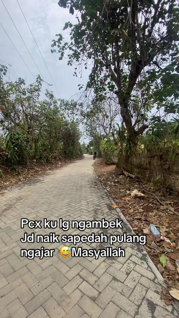 @ibu meri