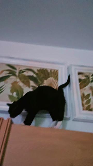 @Luna