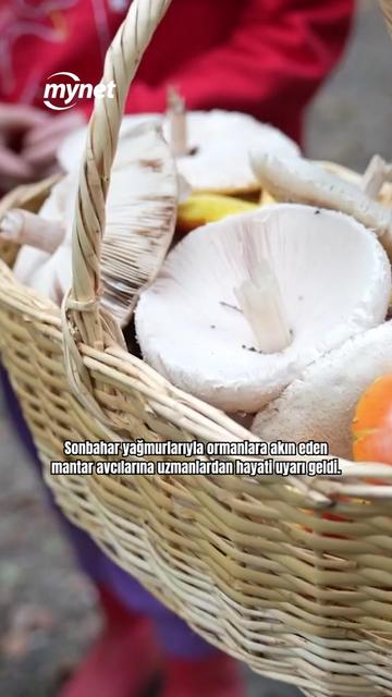 @Mynet