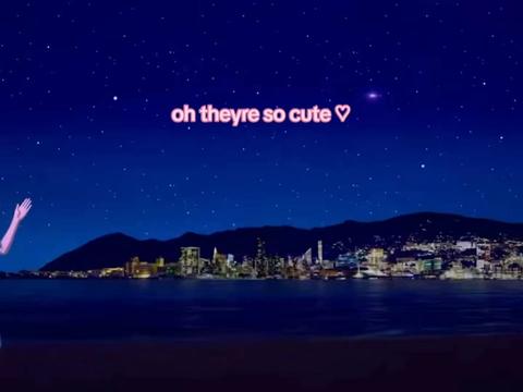 @Raccoon 🦇