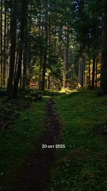 @JAFAROV