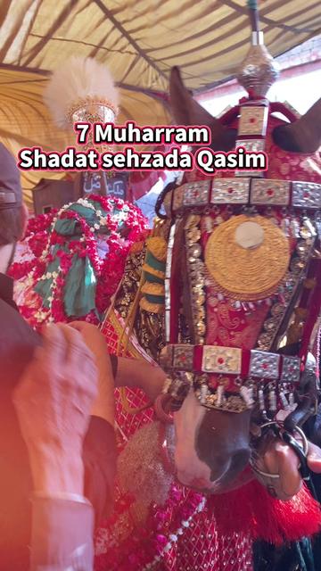 @Tazeem Abbas 🏴🙌🏻