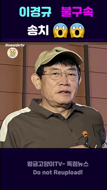 @황금고양이TV