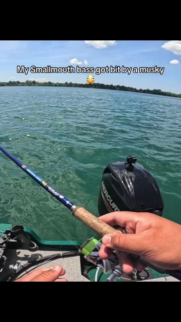@BRVDDY BASSIN
