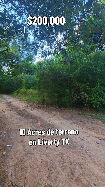 @Frank Flores