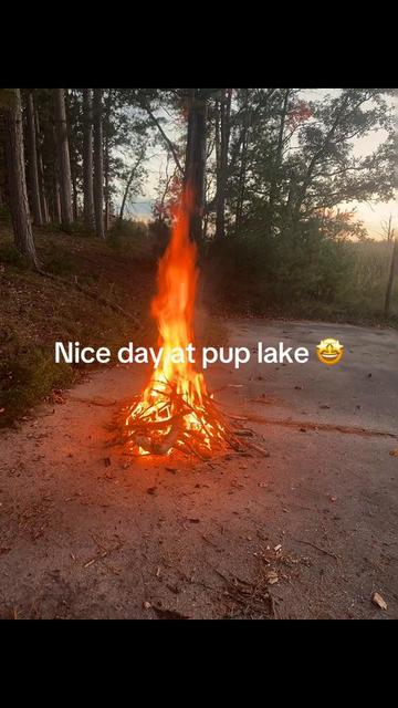 @dirtbike 300