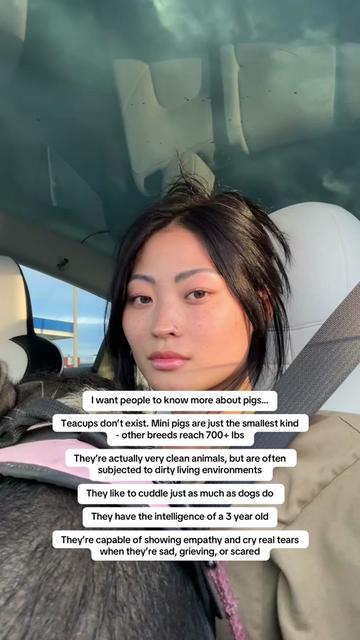 @mae