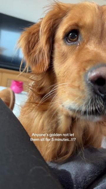 @delilah.thegoldengirl