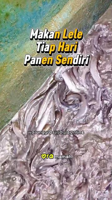 @warung grosir jogja online