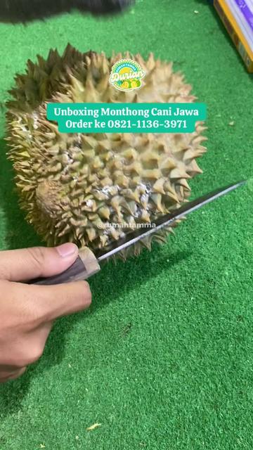 @Rumah Tamma Durian