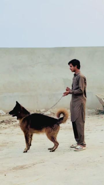 @🥀سردارملک شاویز کانجو🥰